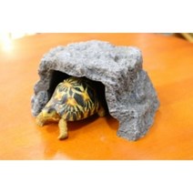 JIF은신처 중 (레오파드게코은신처 습신처 파충류은신처 은신처 육지거북이 육지거북용품 파충류용품 육지거북은신처)