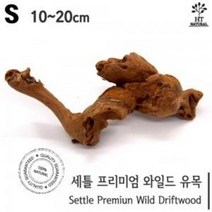 세틀 프리미엄 와일드 유목 S 10cm전후 [체리새우/crs새우/생이새우키우기] 애완관상용새우놀이터