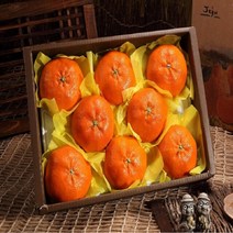 귤로올레 22년 제주 레드향 4kg