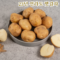 국내산 햇 수미 감자 23년 수확 3kg 5kg 10kg, 중10kg, 1개