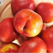 김천자두 산지직송 왕자두 3kg 고당도