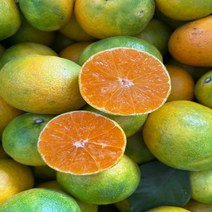 탐라인 제주 산지직송 극조생 노지감귤 로얄과 9kg, 1box