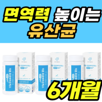 면역력 높이는 유산균 아연 영양제 유산균 증식 플란타럼 람노서스 가세리 루테리 남성 여성 남자 여자 건강식품 락토바실러스 rgg lgg 정품 가격 추천 장적착 장밀착