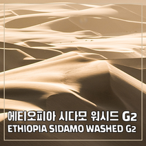(커피생두) 18 에티오피아 시다모 워시드 G2 1kg