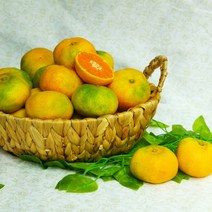 제주 하우스 감귤 산지직송 가정용 선물세트 2kg, 가방포함 선물용 중과 2kg