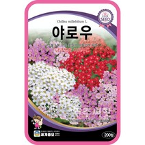 주주씨앗 야로우 씨앗 200립 / 서양톱풀 다년생 꽃씨 허브 꽃씨몰 yarrow 다닥잎톱풀 아킬레아