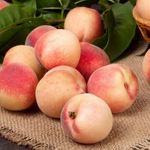 아삭이 복숭아 2.5kg10~15과, 없음