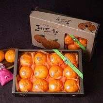 (롯데백화점)제주 서귀포 레드향 선물세트 1.7kg (실중량/12과내외) x 2박스