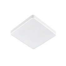 LED 슬림 시스템 방등 50W 화이트 주광색, 화이트(주광색)