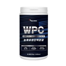 에너데이 농축유청단백질분말wpc 류신 bcaa 500g