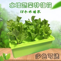 원예부자재 수경재배 조영 다육 무토재배설비 발코니 수배종 텃밭 실내 수경채소 재배 화분식물-52395, 옵션05, 중간 정도