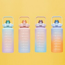 홈니크 연예인 2리터물통 물병 대용량 2리터 물병 텀블러 대형물통 연예인 2리터물통 물병 헬스 스포츠 다이어트 캠핑용물통, 블루피치