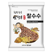 힘찬농부오달봉 2022년 햇 찰수수 수수쌀 국산, 1포, 2kg