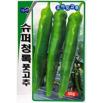 슈퍼청록 풋고추 오이 아삭이 고추씨앗 50립