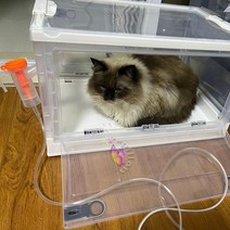 강아지산소방 산소 방 접이식 분무 상자 휴대용 애완 동물 산소 케이지 작은 동물 수의학 분무 상자, 크기 S