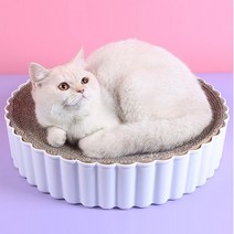 부투펫 고양이 스크래쳐 원형 둥지 침대 소파 캣모나이트 냥모나이트 타르트, 대형, 화이트