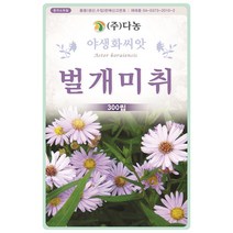 만수국 80립 - 야생화 씨앗 꽃씨 씨 꽃씨앗 만수국씨앗 만수국씨 야생화씨 야생화씨앗 꽃 홍황초 프렌치매리골드, 23_다농_벌개미취(300립)