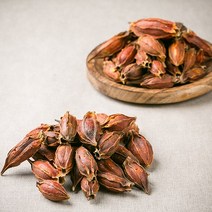 치자 300g 치자열매 한방재료 한약재, 1345_치자 300g, 1345_치자 300g