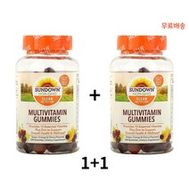 선다운네츄럴스 선다운네츄럴 Sundown Naturals 멀티비타민 구미 포도오렌지맛 120구미 X2팩, 1개