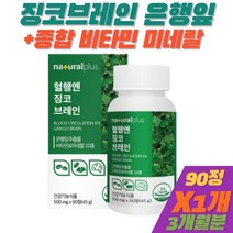 중년 여성 혈행 개선 순환 영양제 은행잎 징코 추출물 플라보놀배당체 GINKGO 건조효모 셀렌 철분제 1개 식약처인증 건강기능식품 종합 비타민 미네랄