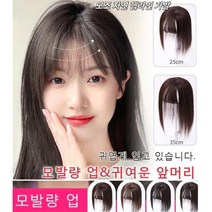 여성 시물레이션 가발 단발가발 여자 부분가발 인모 정수리 앞머리 일체형 가발 내추럴 터치머리 풍성한 정수리 가발 연갈색/갈색/자연 블랙(25cm-35cm), 연갈색(25cm)