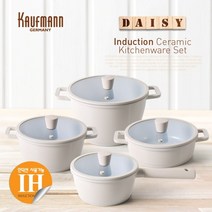 독일 카우프만 데이지 인덕션 냄비 4종 세트-편수냄비18cm+양수냄비20cm+전골냄비20cm+곰솥24cm