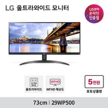 LG전자 73cm WFHD 울트라 와이드 모니터, 29WP500