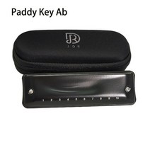 하모니카 JDR Harmonica Diatonic 10 홀 블루스 하프 수지 빗 입 오르간 키 C 황동 커버 인청동 리드 닌자 프로페셔널 블랙, China, Paddy Key Ab
