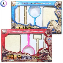 [HM]공룡화석 발굴키트, 색상랜덤1개