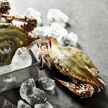 국산 연평도 알배기 활 암꽃게 숫꽃게 생물 급냉 냉동 절단 간장게장용 찜용 무침용 꽃게장 1kg 2kg 3kg 4kg 5kg, 5kg(활 암꽃게)