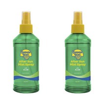 호주 바나나보트 애프터썬 알로에 미스트 250ml 2팩