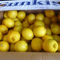 썬키스트 레몬 2kg ~ 17kg 미국산 레몬 생레몬 팬시 레몬 디톡스 비타민C 과일, 17kg 140과