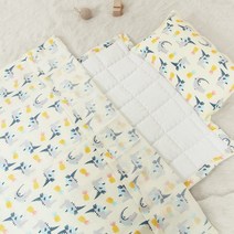이지베이비 여름 시원한 인견이불+패드+베개(마이크로화이바베개솜) 아기 베이비 유아동 침구세트, 애플다이노 인견SET_마이크로