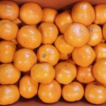 브랜드없음 [빛과나무]탑푸르트 공샘이 제주감귤 5kg(80-94입내/2S), 단품없음