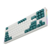 CK01 저소음 키보드 투톤 교체축 백축 게이밍 기계식 SL TKL CX PBT 사무용 저소음 무접점 적축 갈축 청축