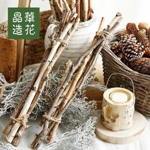꽃 가지 자작나무 참나무 묶음 통나무 조각 데코 겨울, 섹션 D120x12cm 자작나무 스트립