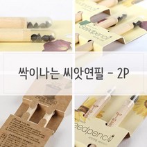 싹 몽당 씨앗연필 반려식물 어린이 호기심, 봉선화