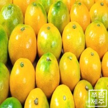 [산지직송] 고당도 제주 하우스 감귤 로얄과 3kg, 1개