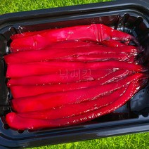 낚시킹 띠용 오징어 미끼 2. 울트라레드 염장 선상 열기 우럭 원투 장어 타이라바 양어장 좌대 대물, 2. 울트라 레드