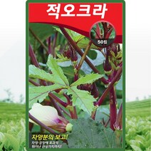 솔림텃밭몰 적오크라씨앗 50립 열대지방 여름채소씨앗, 1개