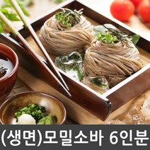 생모밀소바 6인분세트 (생메밀국수 1kg + 모밀소스650g) 전문점맛, 1세트