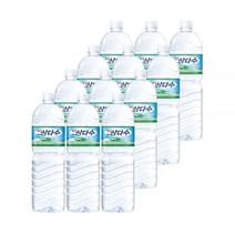 제주 삼다수 2L x 12페트 삼다수 리터 맛있는 제주 깨끗한물 L ml 500 2 생수, 쿠팡 1