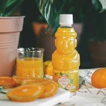 제주향 100% 착즙주스 330ml 한라봉 천혜향 청귤 감귤, 제주향 청귤 주스 330ml