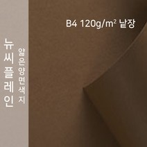 뉴씨플레인 종이문화 얇은 양면색지 120g B4 낱장 1매 No.26 밤색, 1장