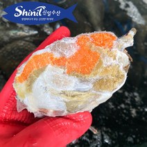 산지직송 제철 암꽃게 2kg (5~6마리) 봄꽃게 급속냉동