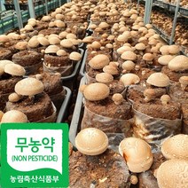 국산 무농약 생 표고버섯, 1kg(중품), 1개