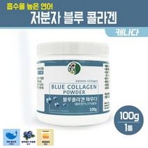 캐나다 블루콜라겐 저분자 피쉬콜라겐 파우더 생선 어류 분말 로얄제리 히알루론산 블루베리 함유 먹는 이너뷰티 연어 콜라겐 가루, 1병, 연어 피쉬 콜라겐 파우더 100g