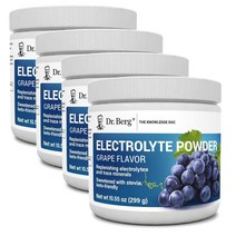 닥터베르그 전해질 파우더 칼륨 핑크히말라야 솔트 포도맛 드링크믹스 299g Dr. Berg Nutritionals Electrolyte Powder, 4개