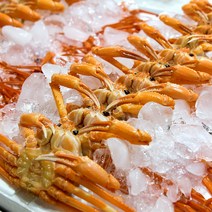 수율 80%내외 당일조업 속초 동해안 고급홍게 5-7마리 2kg