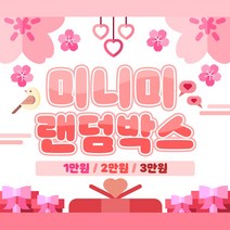 [키베문구점] 미니미 다꾸 무중복 2.5배 랜덤박스 / 떡메모지 / 인스 / 다꾸용품, 1만원